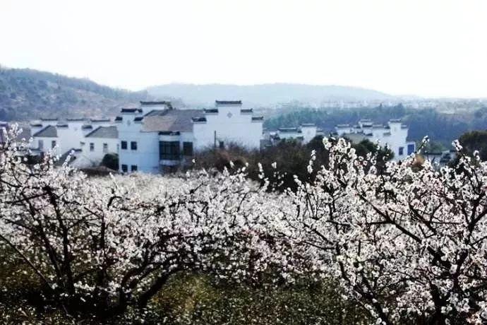 如何才能不去在乎他人的言行。-知识星球-专业知识分享交流社区