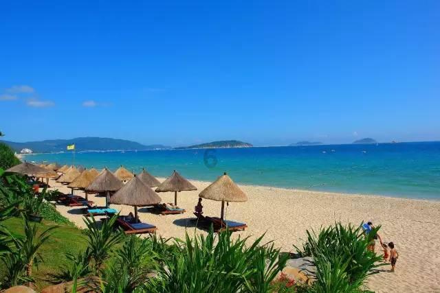 2024浙江省美术联考成绩出炉,新秀画室崛起!