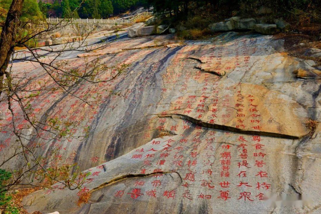 踏雪登山赏美景 不料被困半山腰