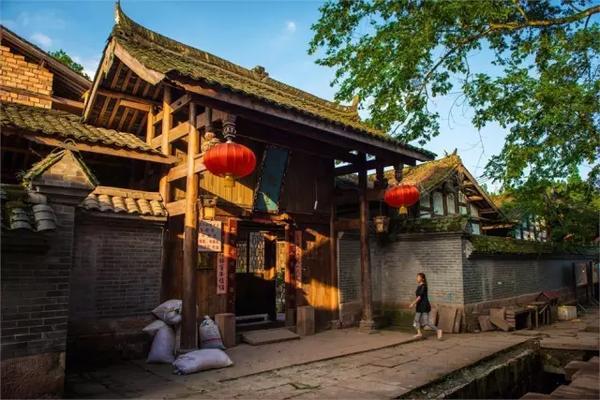 饥饿的松鼠救援