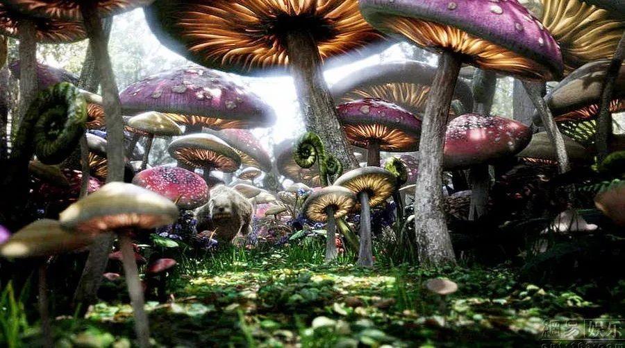 植物大战僵尸16